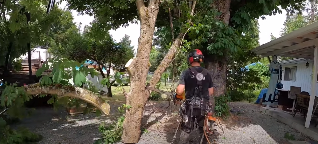 Prescott Tree Service