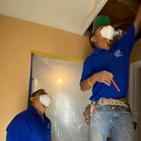 Westland Mold Inspection