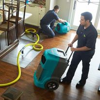 Livonia Mold Inspection