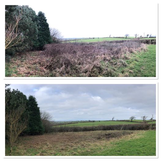 Cornish Trees & Gardens Ltd