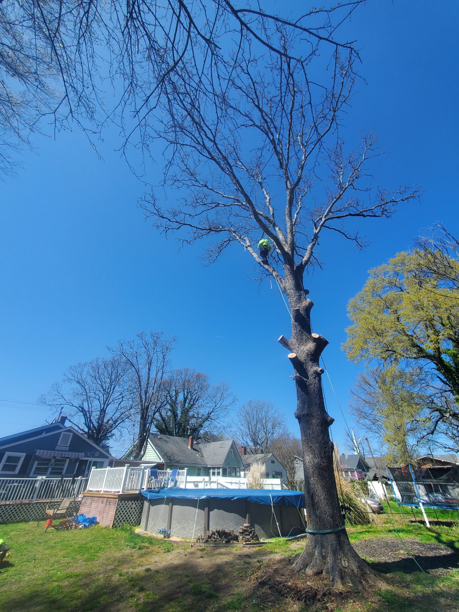 JBeez Outdoor Experts LLC