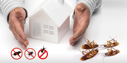 All Track Exterminators