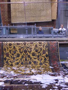 Oriental Rug Specialists