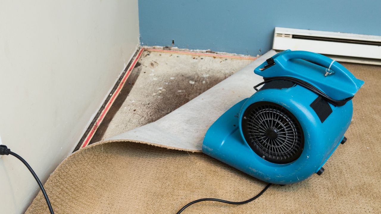 Meridian Damage Restoration